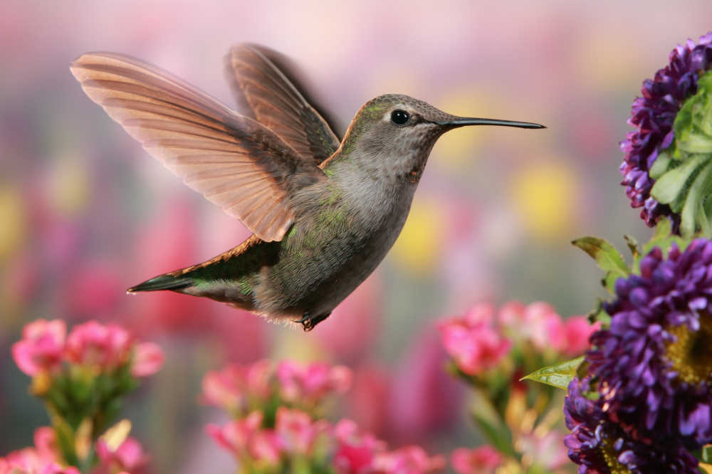 TUTOOLIO Medienberichte