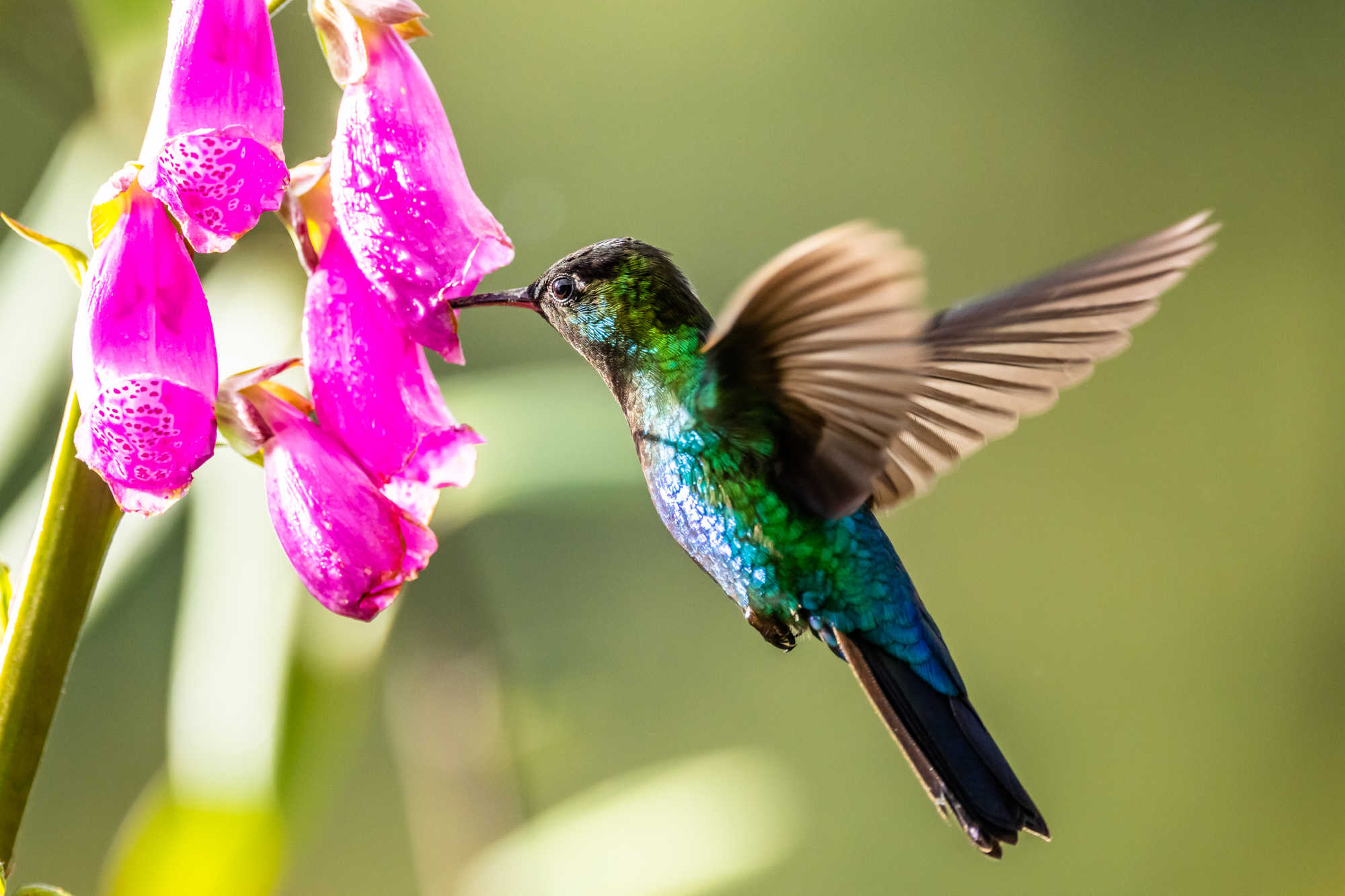 Two,Female,Young,Nurses,Having,Fun,With,Tablet,Computer,During